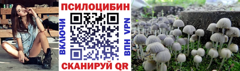 Галлюциногенные грибы MAGIC MUSHROOMS  маркетплейс официальный сайт  Острогожск  купить  цена 