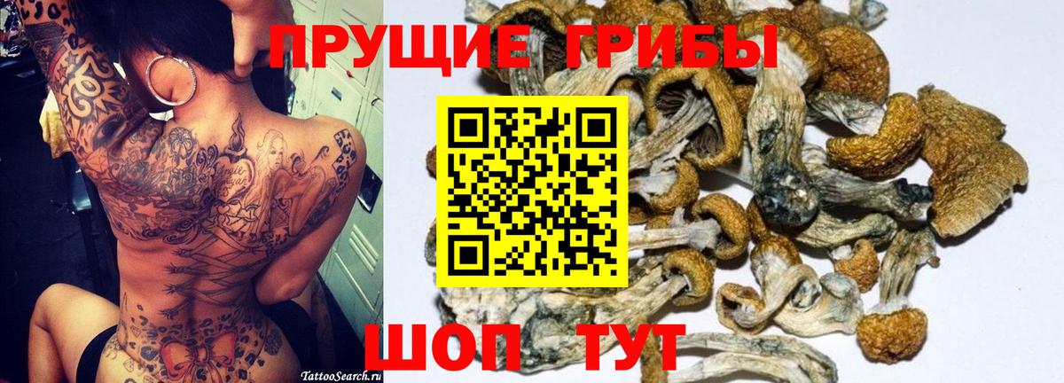 Острогожск  Псилоцибиновые грибы MAGIC MUSHROOMS  Вход с VPN 