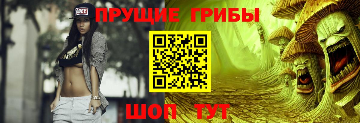 Псилоцибиновые грибы Psilocybe Острогожск